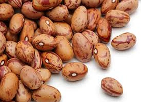 تصویر 1 از قیمت خرید لوبیا چیتی پلو + فروش ویژه